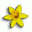 Download Spring Wildflowers Screen Saver