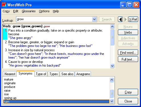 WordWeb Screenshot