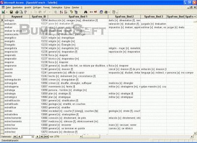 Database Dictionaries Spanish Screenshot