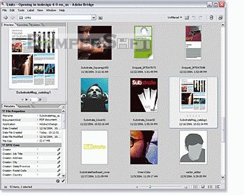 Adobe InDesign Screenshot