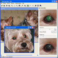 Pet Eye Pilot Screenshot