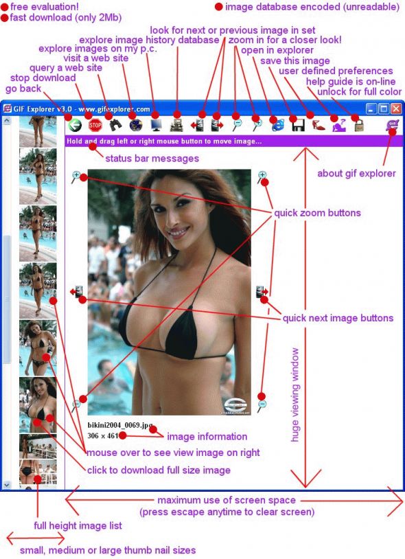 Internet GIF Explorer (Standard Edition) Screenshot