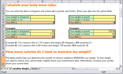 Weight Loss Program Screenshot