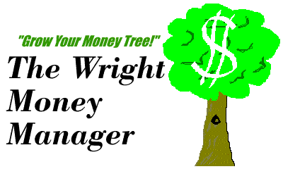 The Wright Money Manager Screenshot