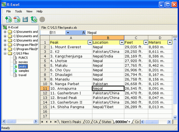 R-Excel Screenshot