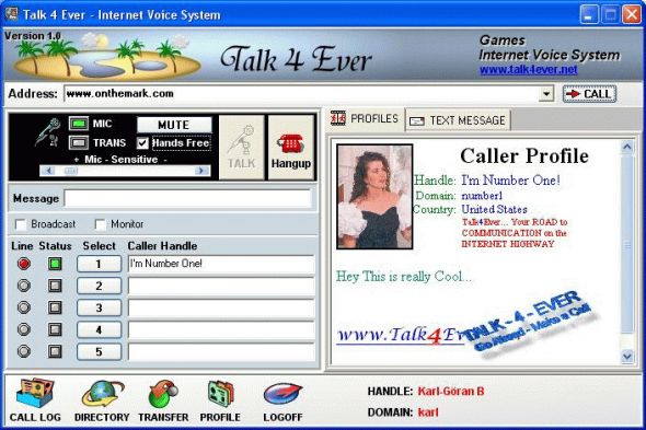 Internet Voice System Screenshot