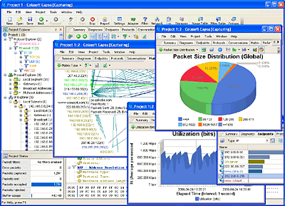 Network Packet Analyzer Screenshot