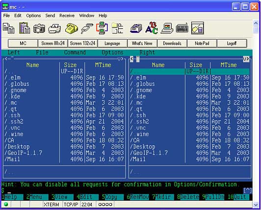 NetTerm (32-bit) Screenshot