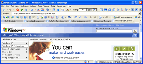 FineBrowser Freeware Screenshot