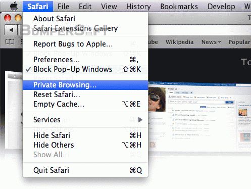 Safari Screenshot