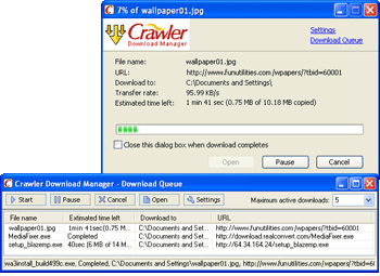 Crawler Download Manager Screenshot