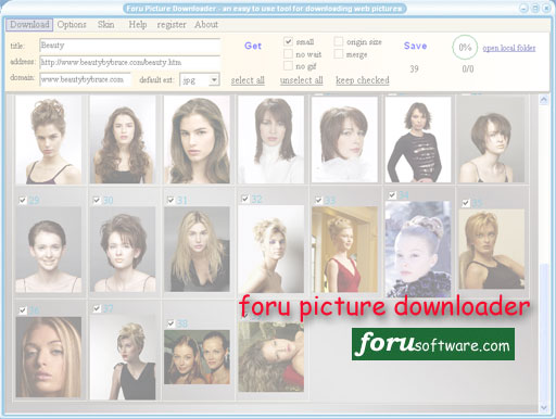 IE Picture Downloader Screenshot
