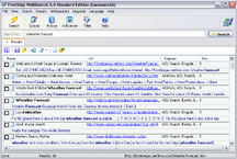FirstStop WebSearch Standard Edition Screenshot
