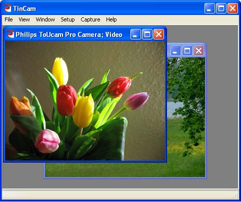 TinCam Screenshot
