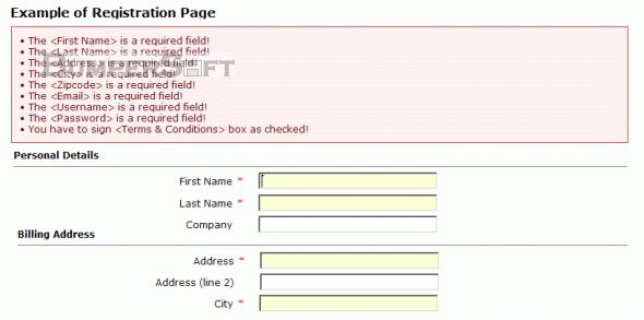 JS Auto Form Validator Screenshot