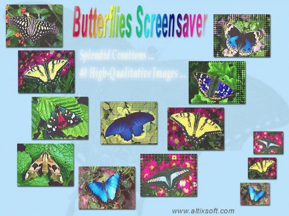 Butterflies Screensaver Screenshot