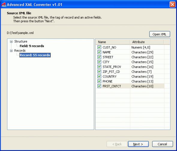 Advanced XML Converter Screenshot