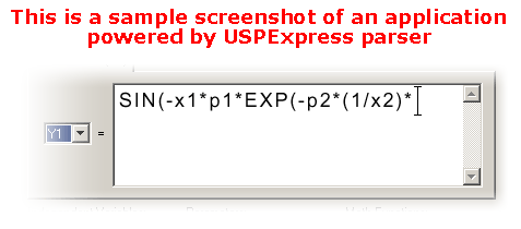 USPExpress Parser Screenshot