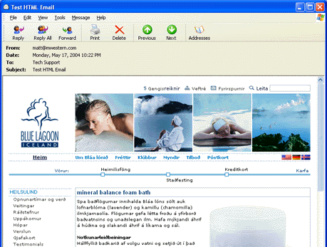European Mail Component Screenshot