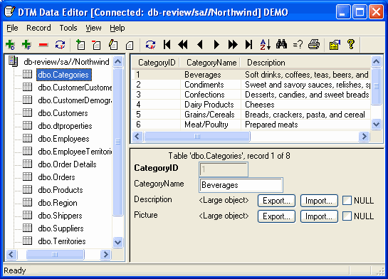 DTM Data Editor Screenshot