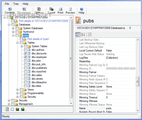 SQLServerPrint Screenshot