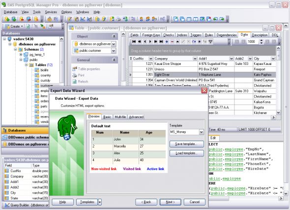 EMS PostgreSQL Manager Professional Screenshot