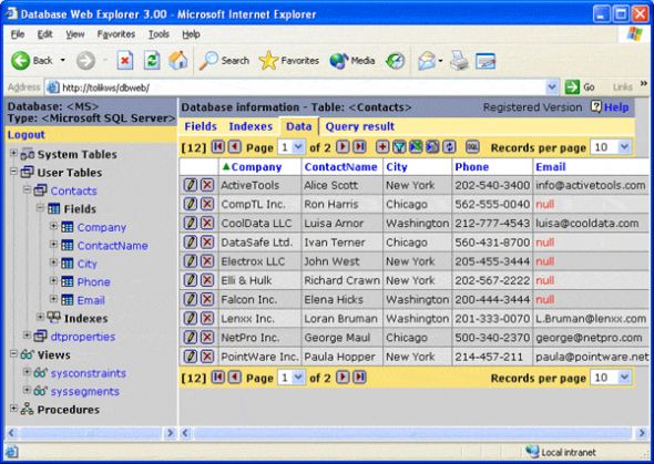 Database Web Explorer Screenshot
