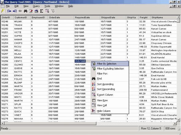 The Query Tool 2005 Screenshot