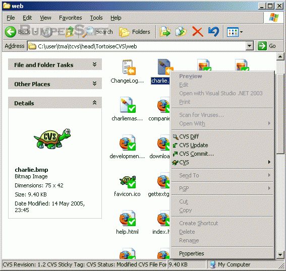 TortoiseCVS Screenshot