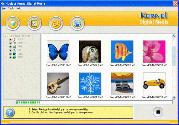 Nucleus Kernel Digital Media Screenshot