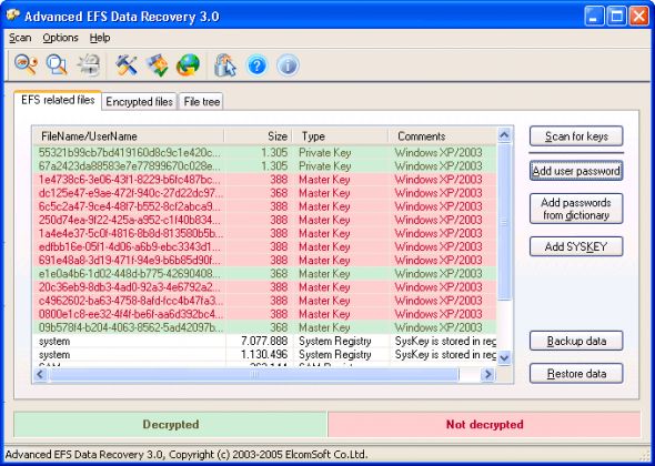 Advanced EFS Data Recovery Screenshot