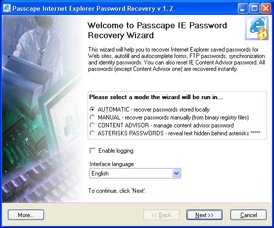 Passcape Internet Explorer Password Recovery Screenshot