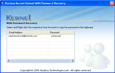 Nucleus Kernel Hotmail MSN Password Recovery Screenshot