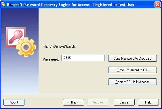 Bimesoft Password Recovery Engine for Access Screenshot