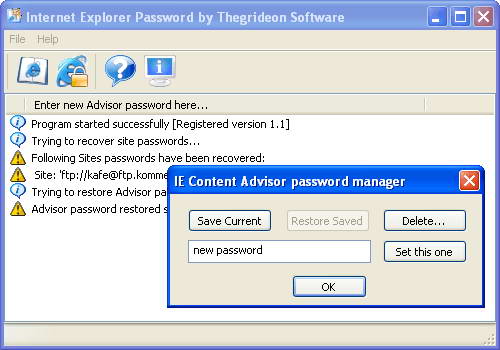 Internet Explorer Password Screenshot