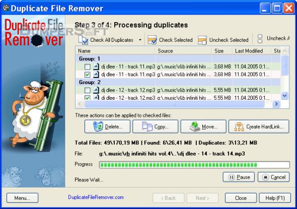 Duplicate File Remover Screenshot
