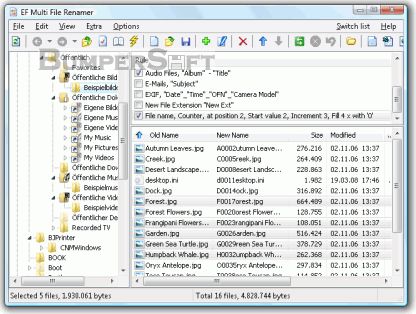 EF Multi File Renamer Screenshot