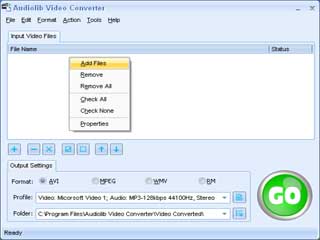 Audiolib Video Converter Screenshot