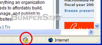 Macromedia Authorware Web Player Screenshot
