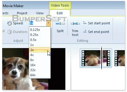 Windows Live Photo Gallery and Movie Maker Screenshot
