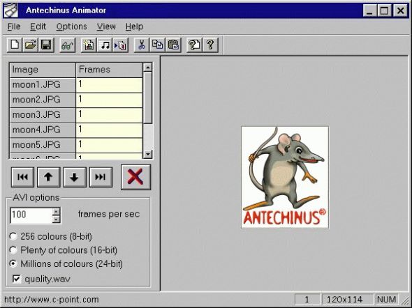 Antechinus Animator Screenshot