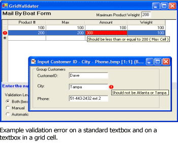 Xceed Input Validator for .NET Screenshot