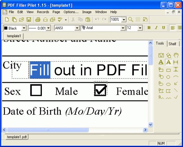 PDF Filler Pilot Screenshot