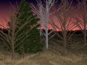Enchanted Forest Screenshot