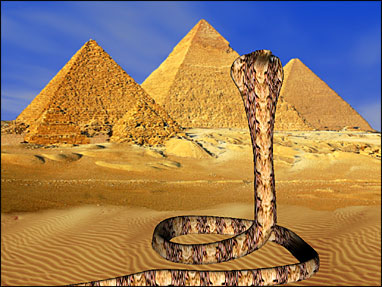 Sacred Egyptian Cobra 3D Screensaver Screenshot