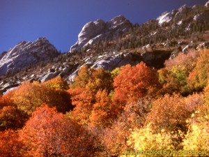 Autumn Colors Screenshot