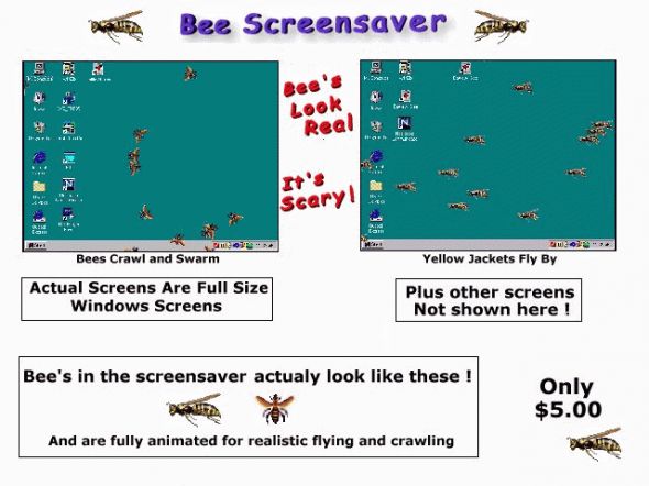 Bee Screensaver Screenshot