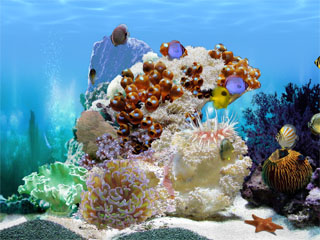 Amazing 3D Aquarium ADD-on: Chaetodont II - Fish Pack Screenshot