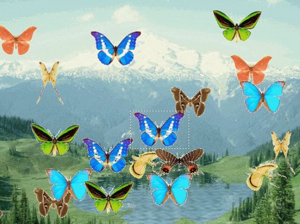 Animated Butterfly Pond Screensaver Screenshot