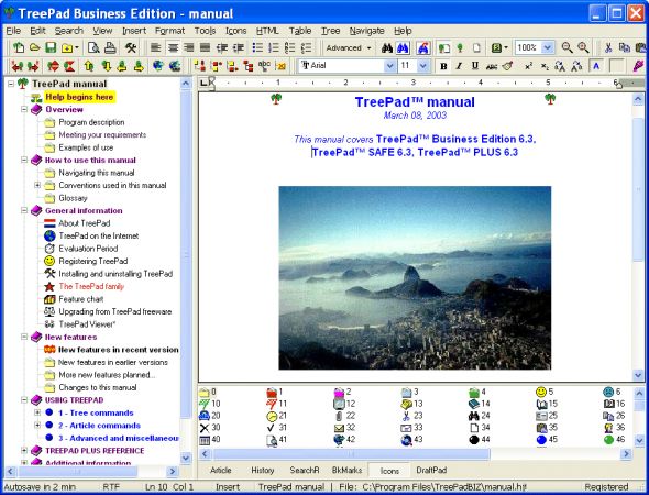 TreePad Business Edition Screenshot